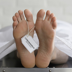 Financial and Administrative Services